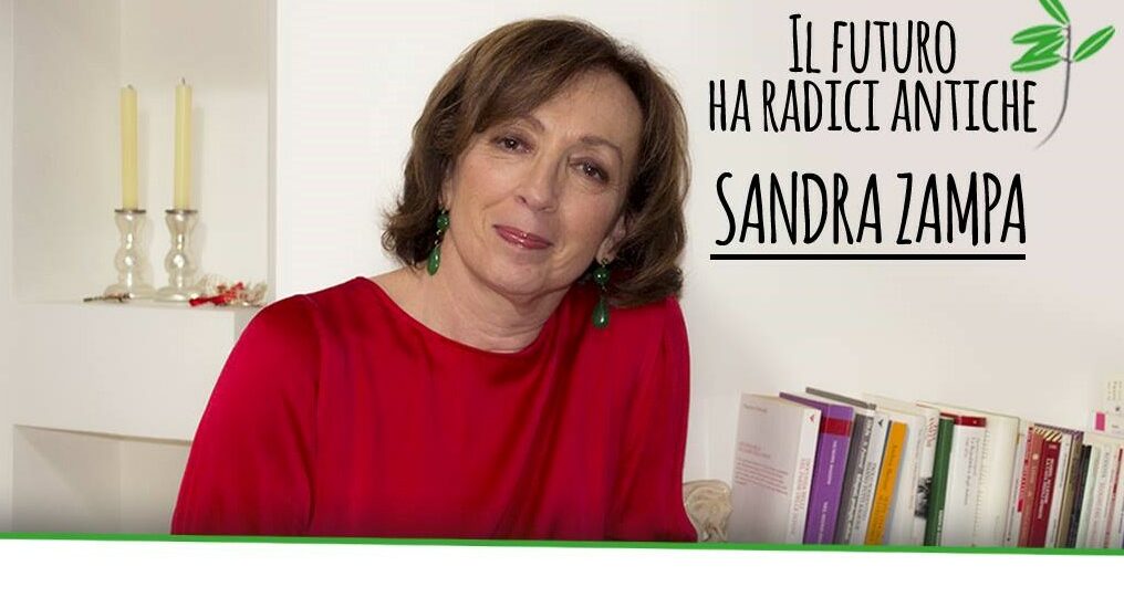 sandra zampa