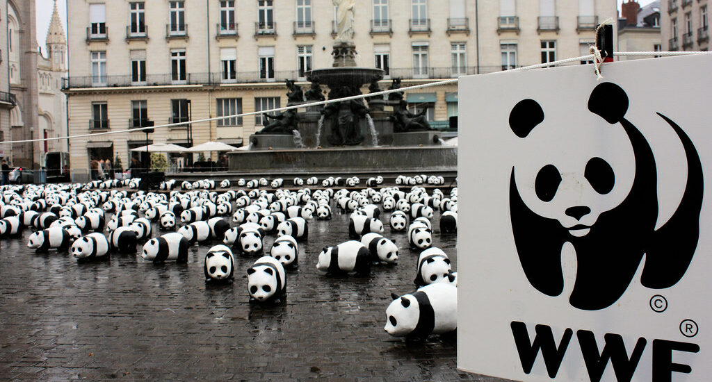 Wwf