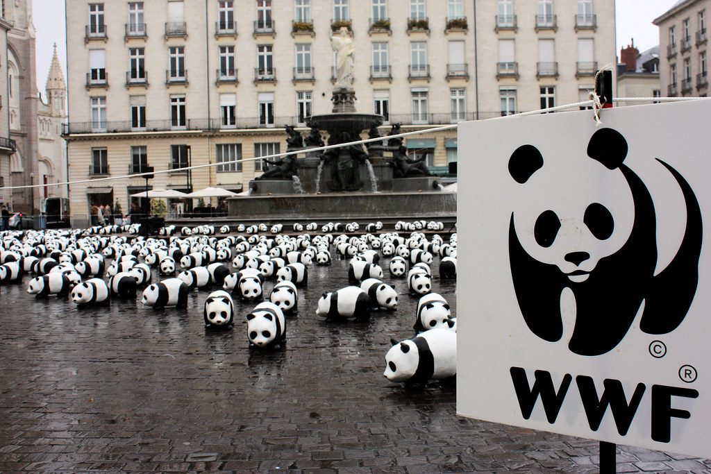 wwf