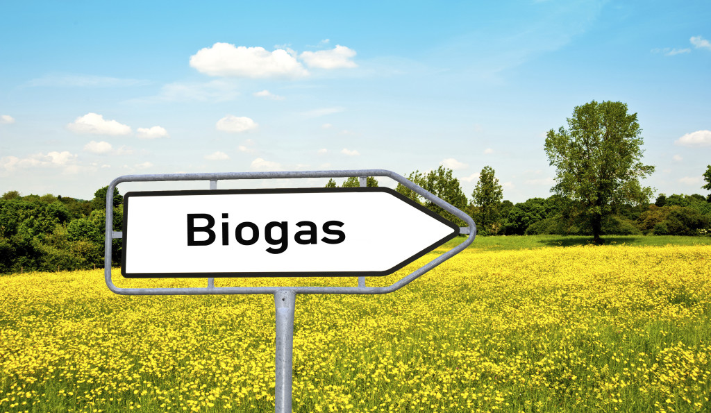 Biogas