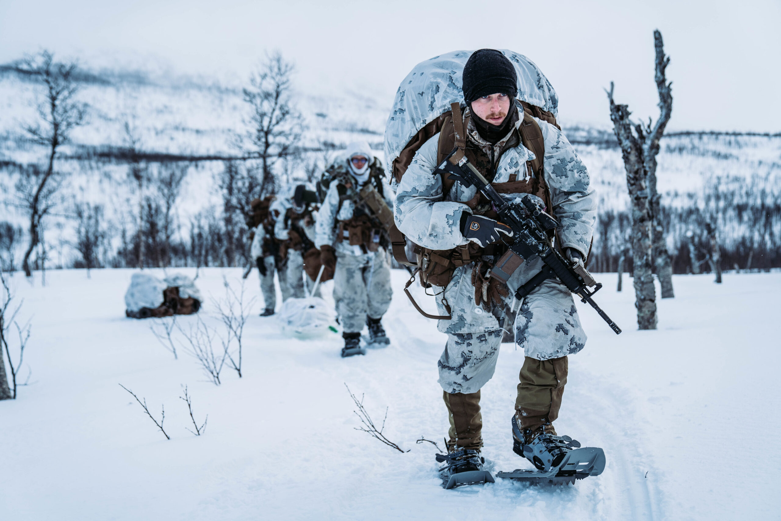 nato cold response