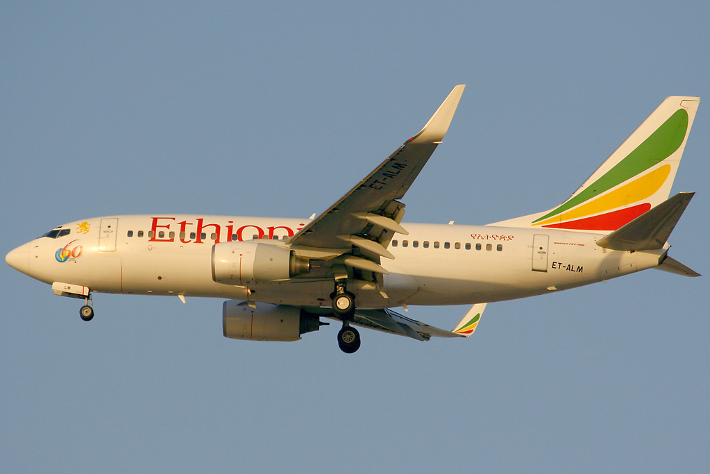 Boeing 737, Ethiopian Airlines. Ipotesi e analisi sul disastro aereo