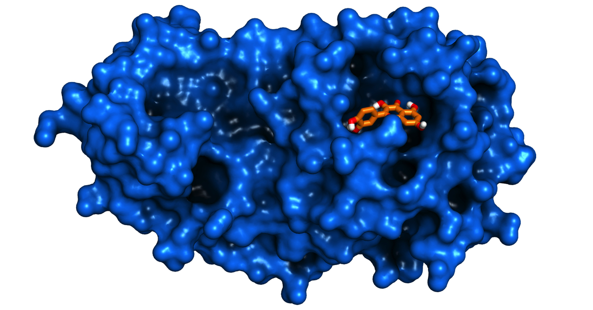 Quercetin, here is the natural molecule that faces Sars-Cov-2