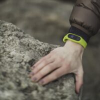 Google Fitbit