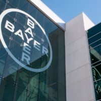 bayer