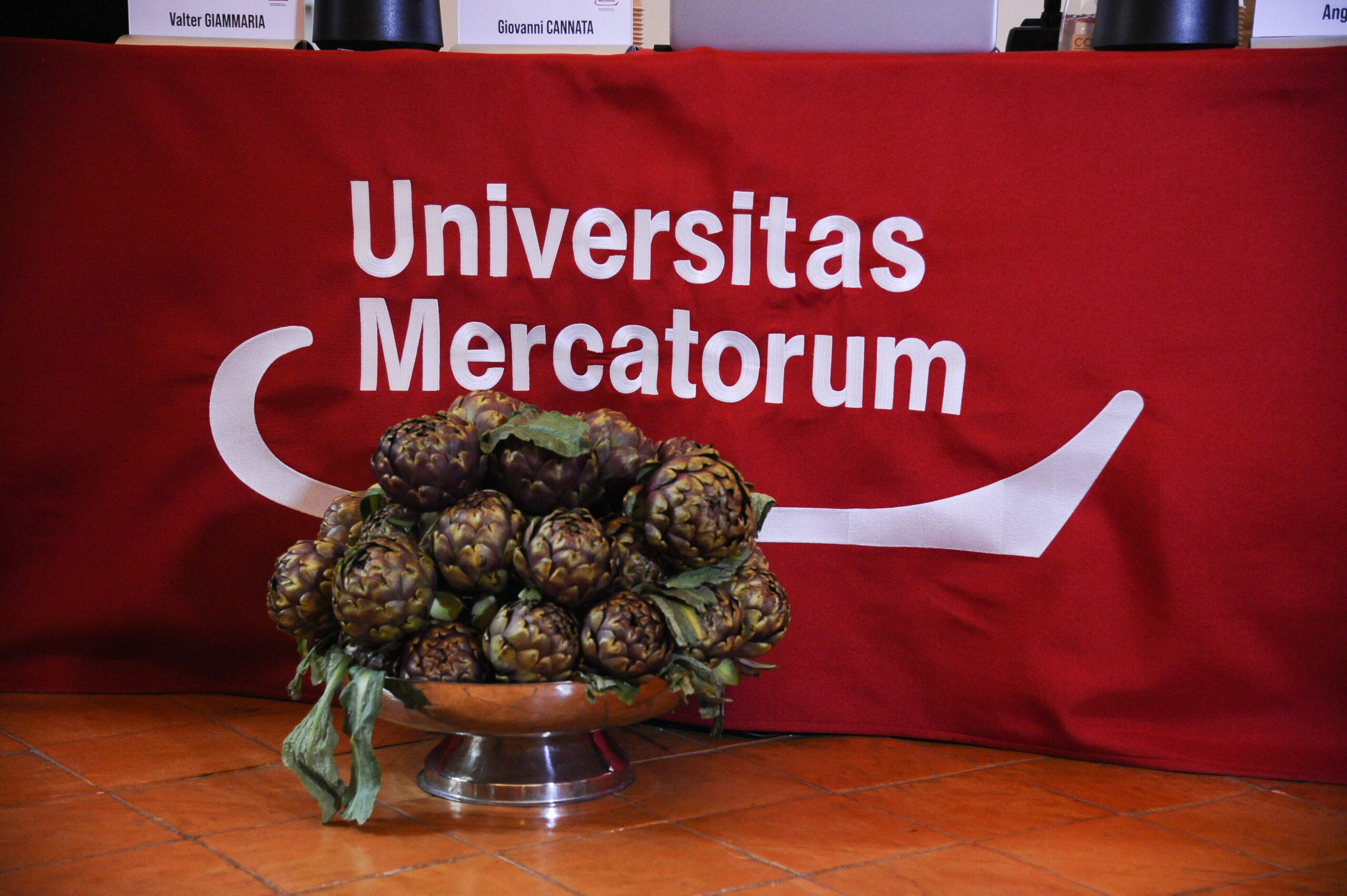 What happens to Pegaso and Mercatorum universities?