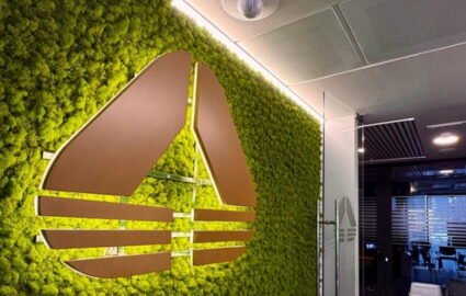 websoft italiane mediobanca