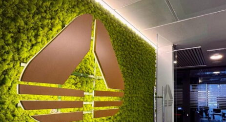 websoft italiane mediobanca