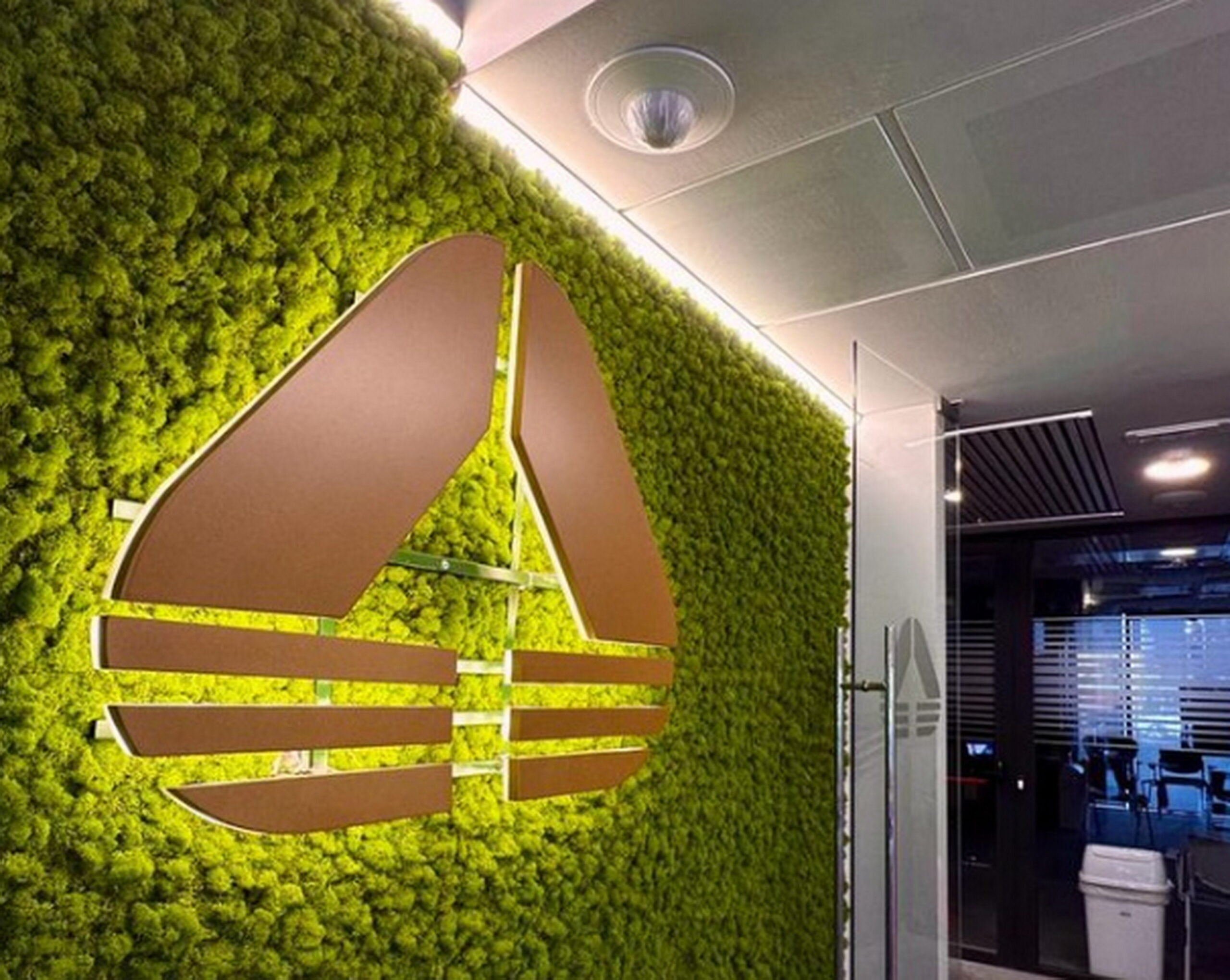 websoft italiane mediobanca