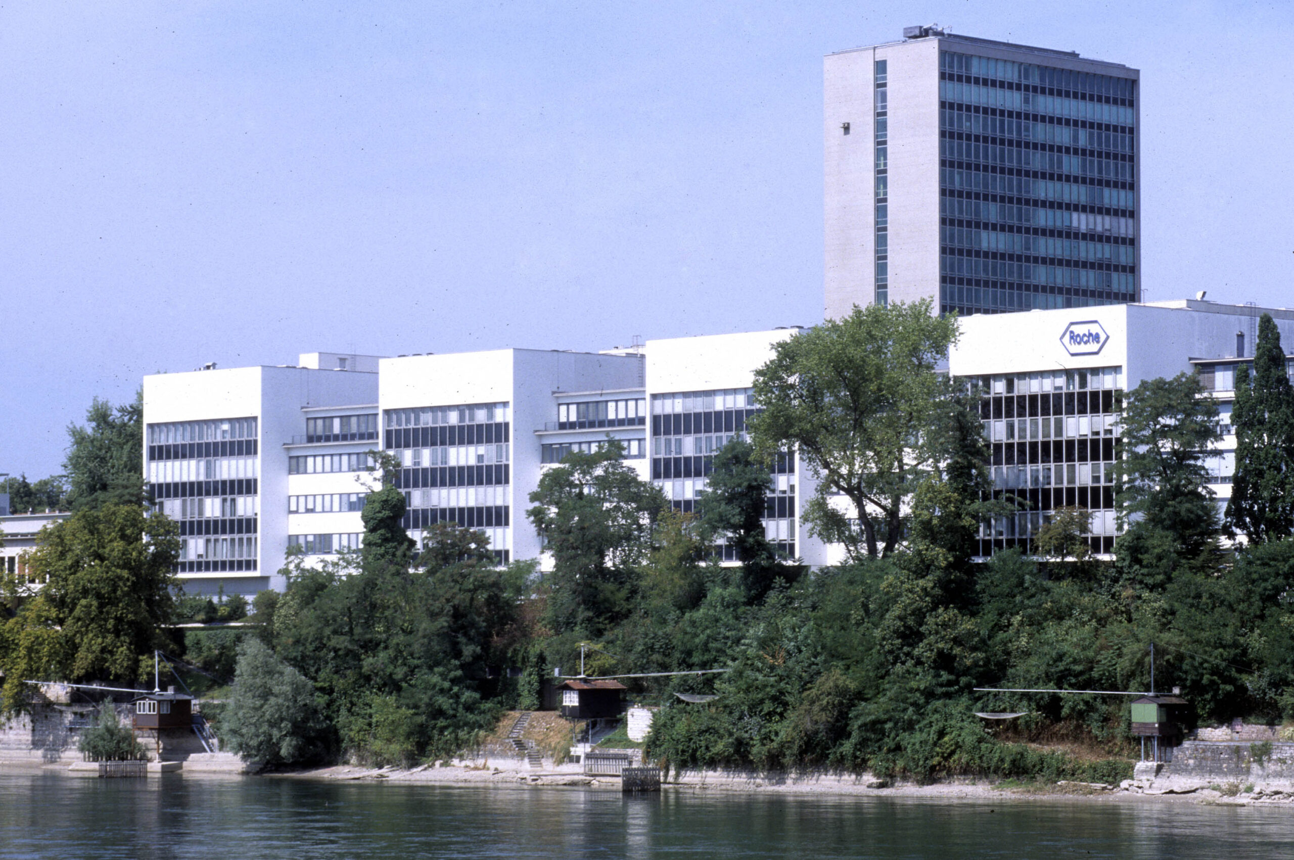 roche 89bio