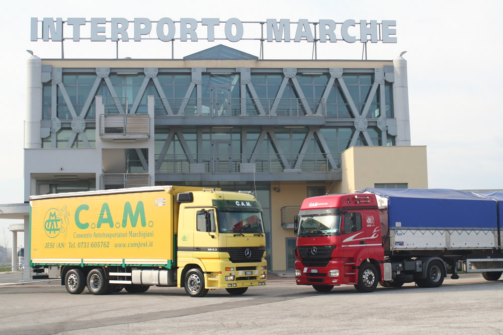 Amazon and the Brothers of Italy, what happens in the Marche