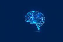Brain
