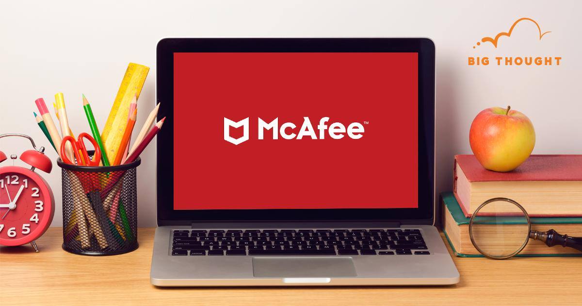 McAfee Ipo