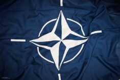 nato diana informazione