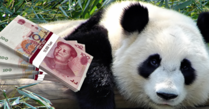 Perché Pechino Gongola Con I Panda Bond Cinesi