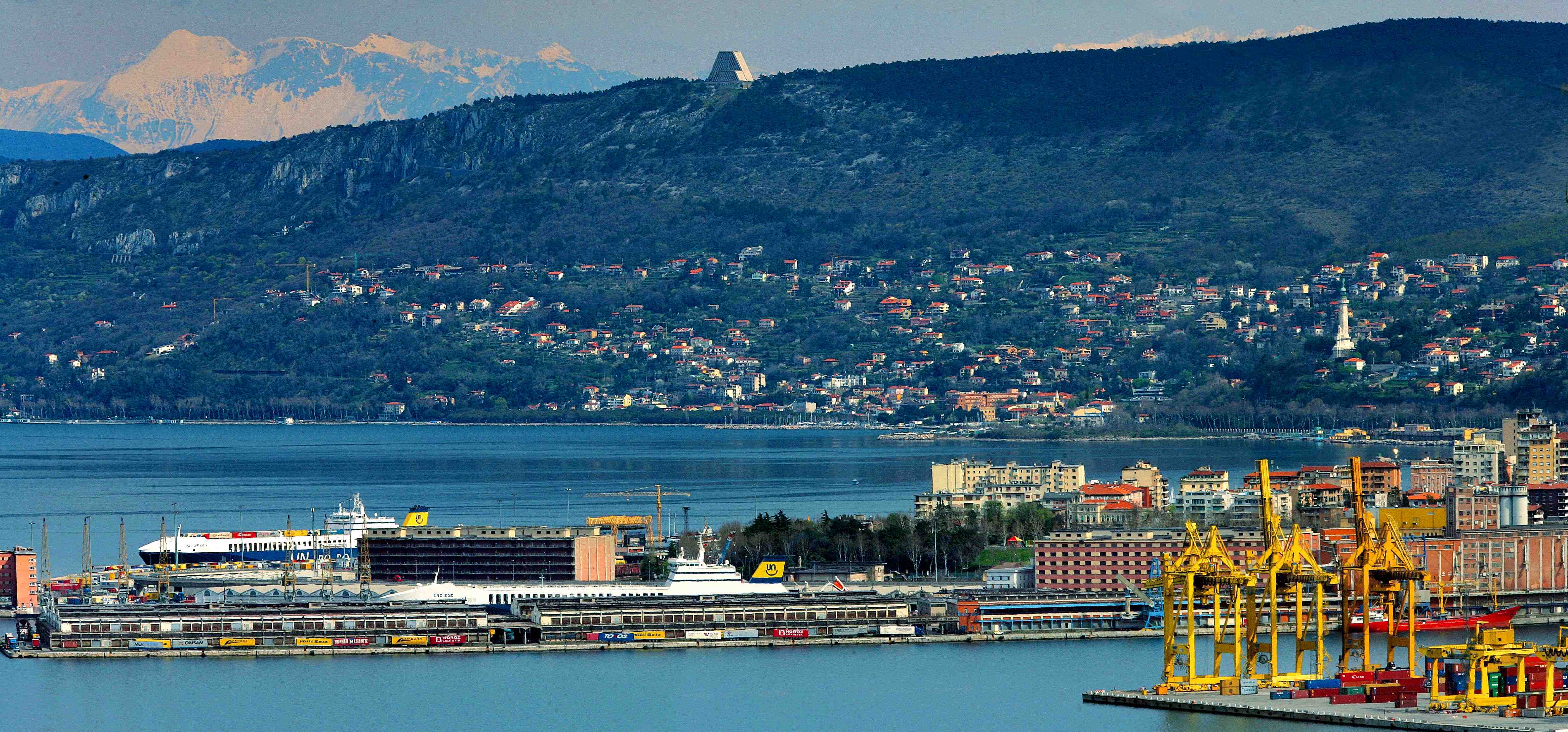 How are the business of the Port of Trieste struggling with the No green pass