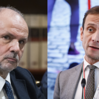 schillaci fedriga