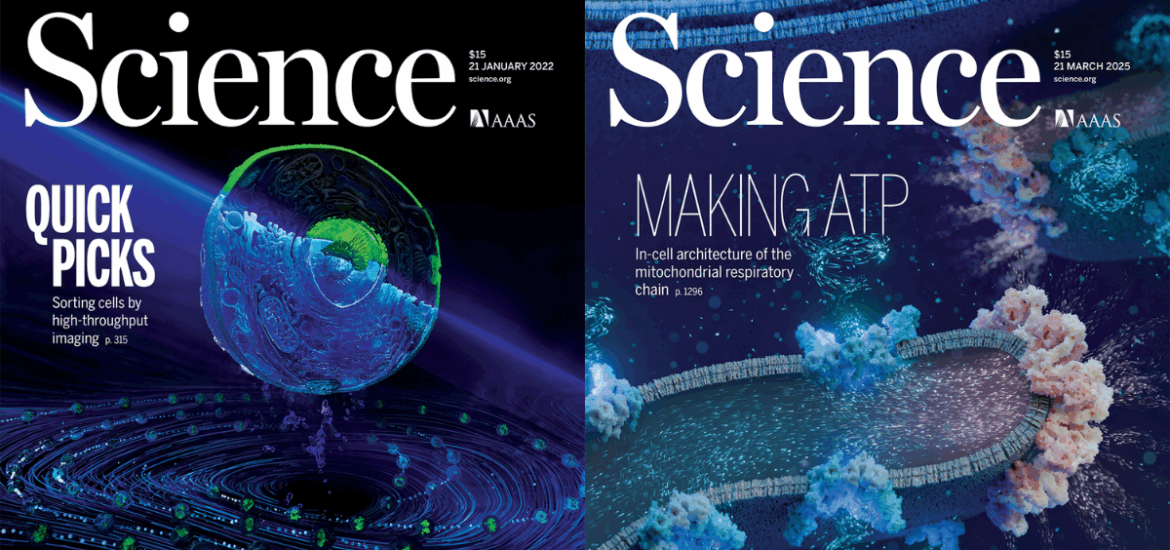 Science