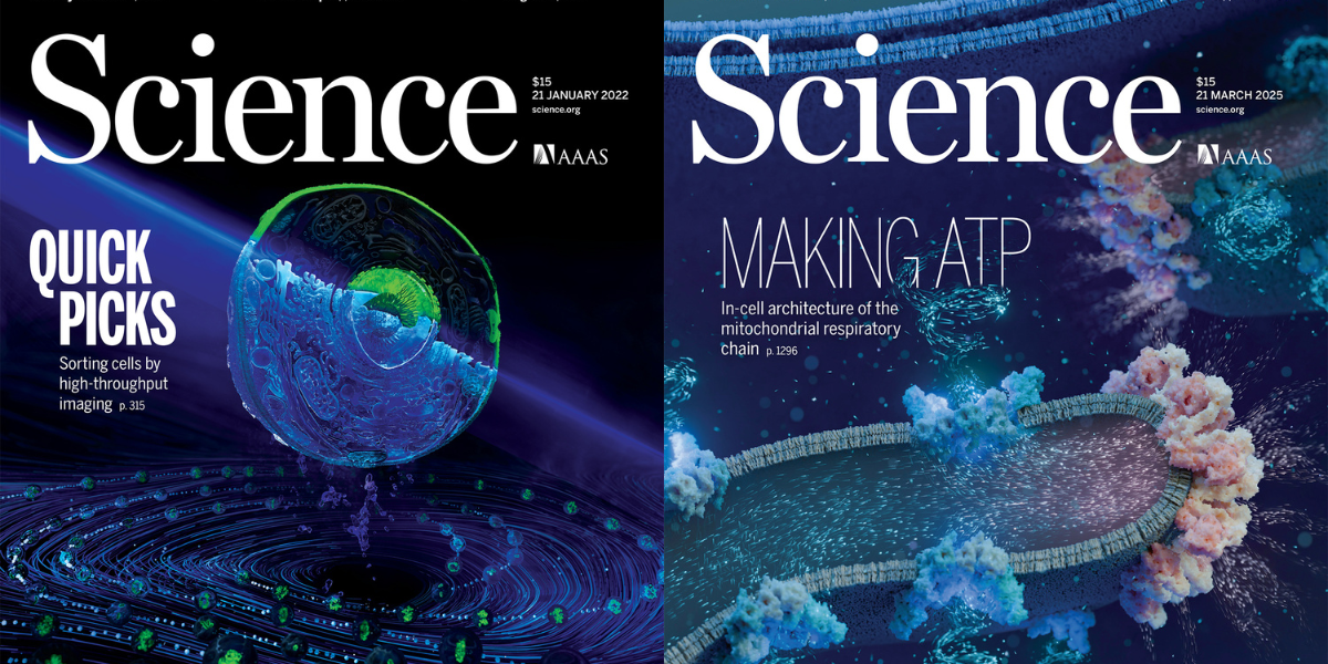 Science