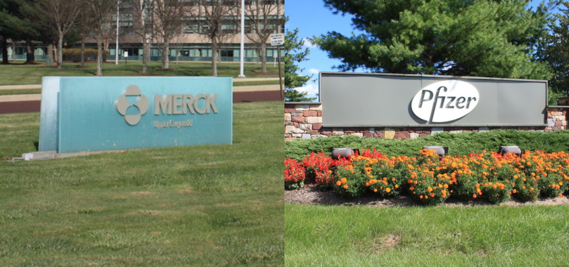 pfizer merck