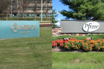 pfizer merck