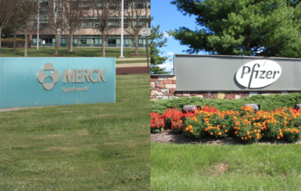 pfizer merck