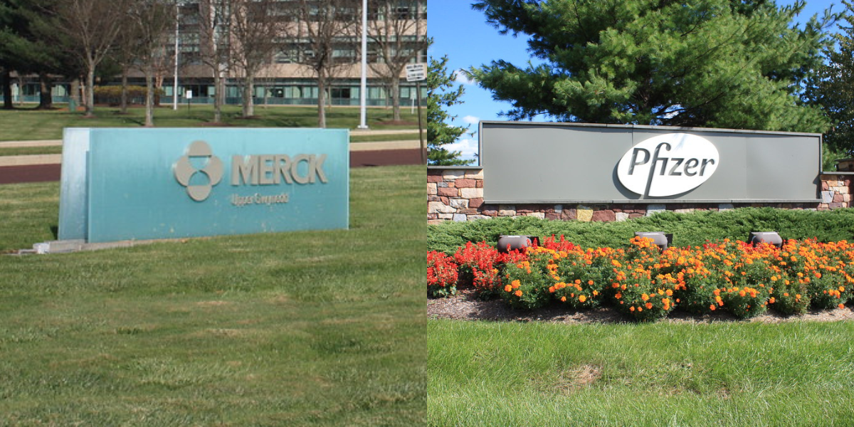 pfizer merck