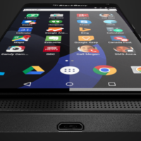 Blackberry Venice