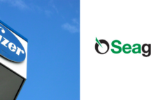 Seagen Pfizer
