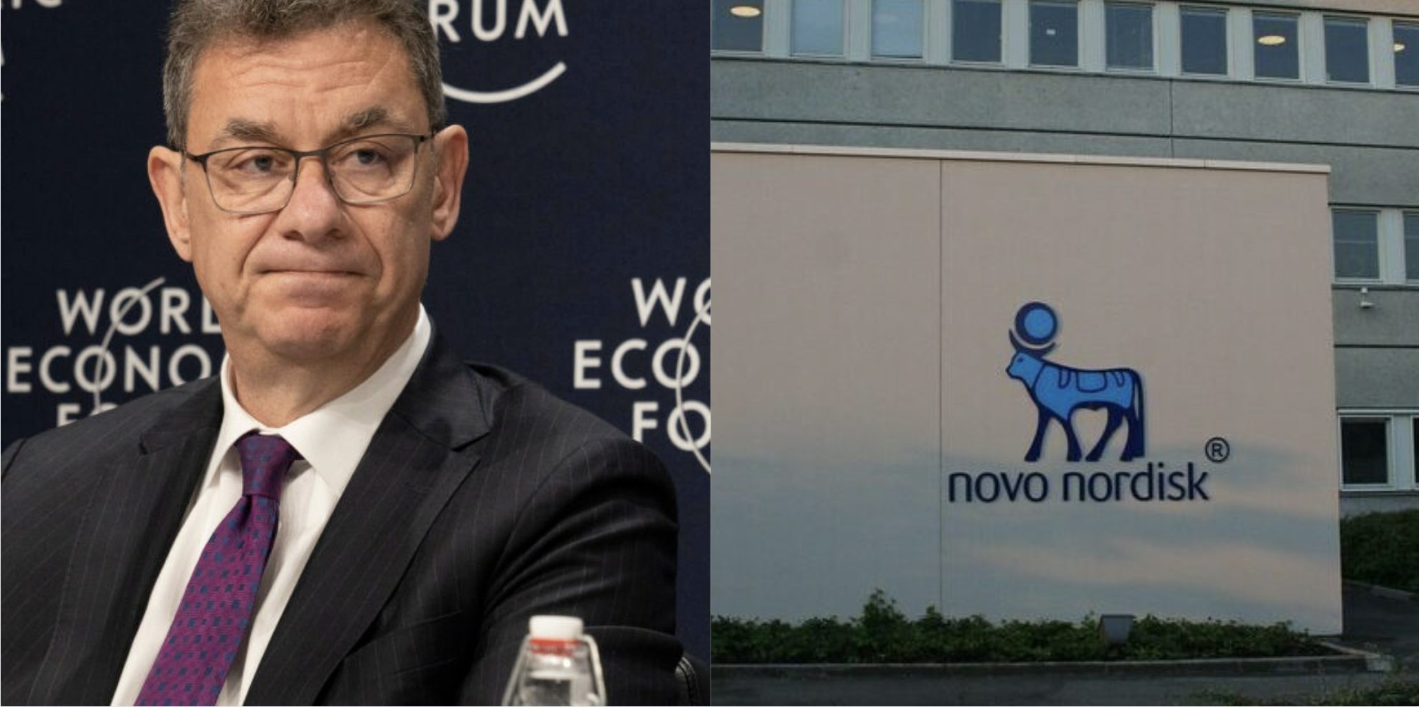 metsera pfizer novo nordisk