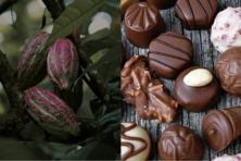 prezzi cacao cioccolato
