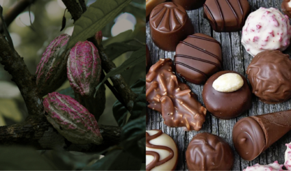 prezzi cacao cioccolato
