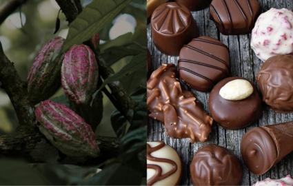 prezzi cacao cioccolato