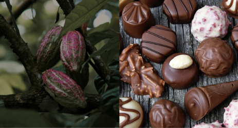 prezzi cacao cioccolato