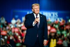 trump difesa manager