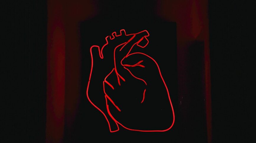 Vaccino Antinfluenzale Malattie Cardiovascolari