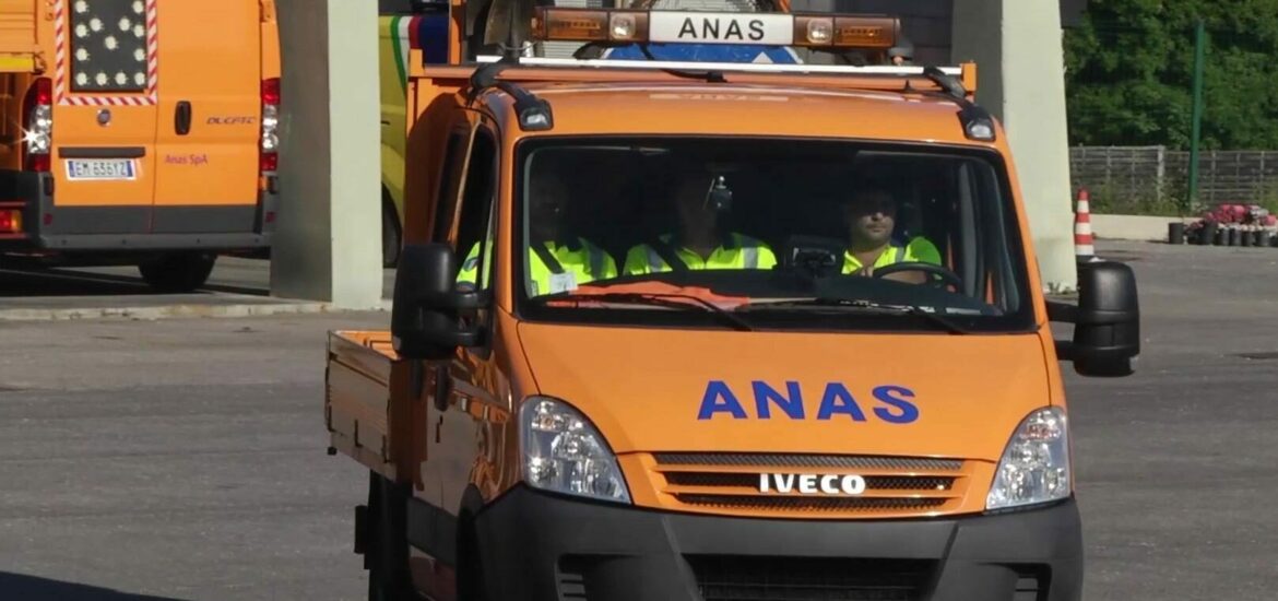 Anas