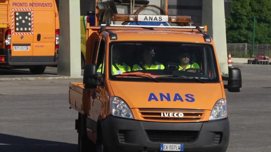 Anas