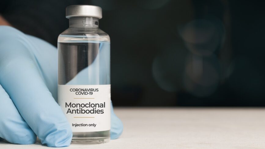Anticorpi Monoclonali Sottovarianti