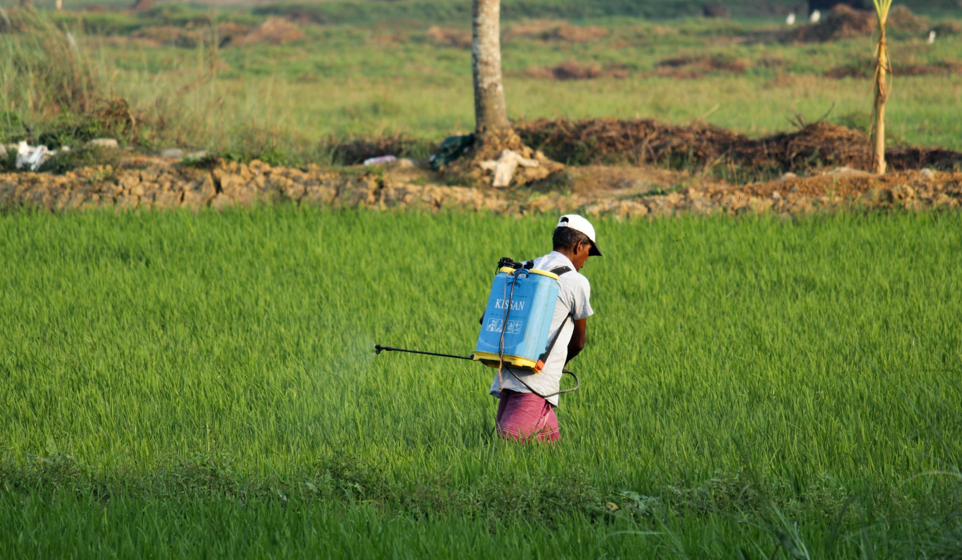 Pesticides: the new Chinese hegemony. Le Monde Report