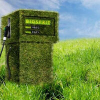 L’Ue metterà al bando l’olio di palma dai biocarburanti a favore della soia?