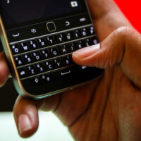 blackberry