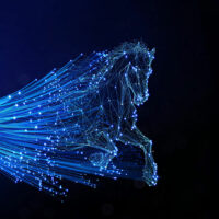 Open Fiber
