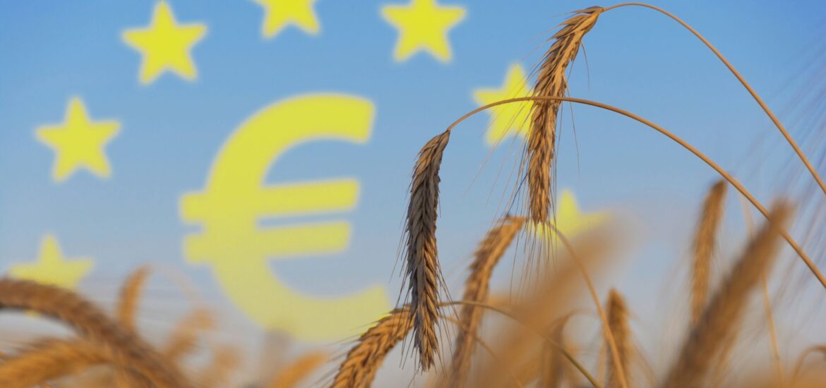 economia circolare