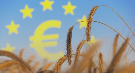 economia circolare