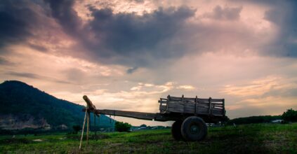 Agricoltura