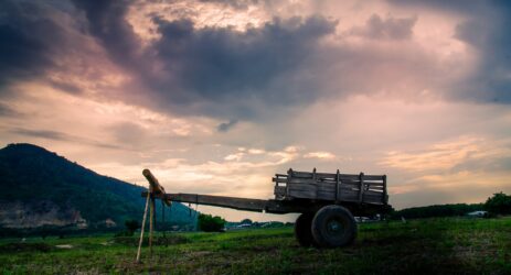 agricoltura