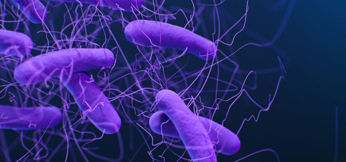 batteri resistenti stati uniti