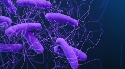 batteri resistenti stati uniti