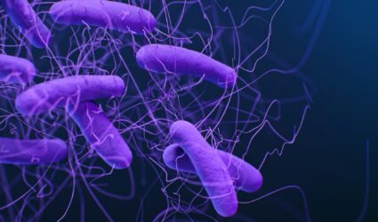 batteri resistenti stati uniti